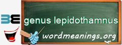 WordMeaning blackboard for genus lepidothamnus